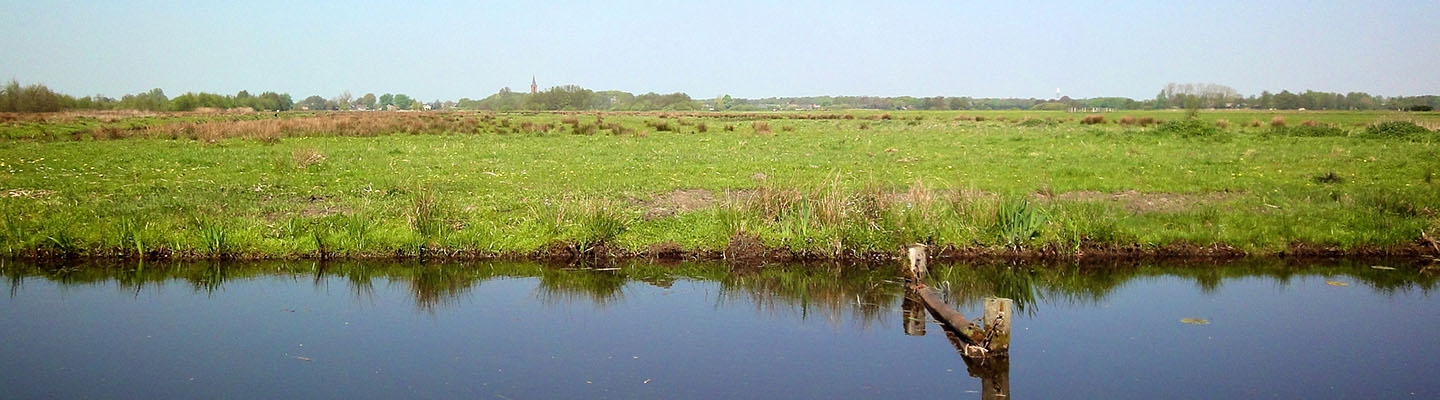 Grasland en watertjes in Loosdrecht