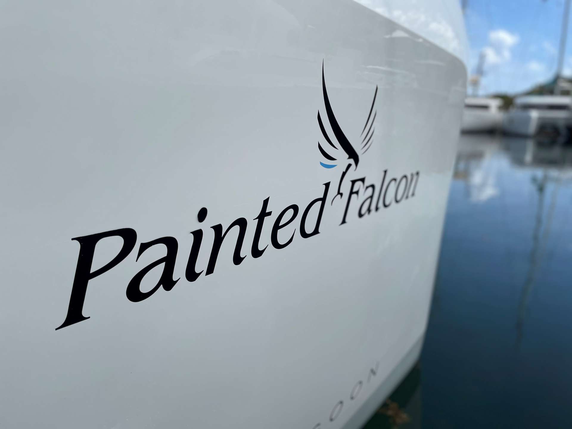 Painted Falcon | 2021 Lagoon 42