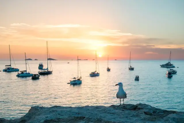Ibiza yachts sunset